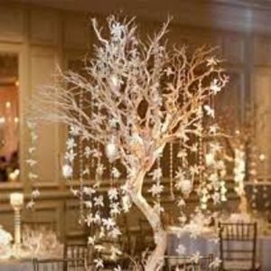 Meet your Posher, Elena